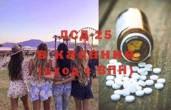 ECSTASY Алзамай