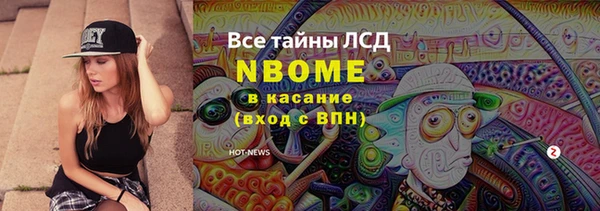 ECSTASY Алзамай