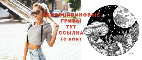 ECSTASY Алзамай