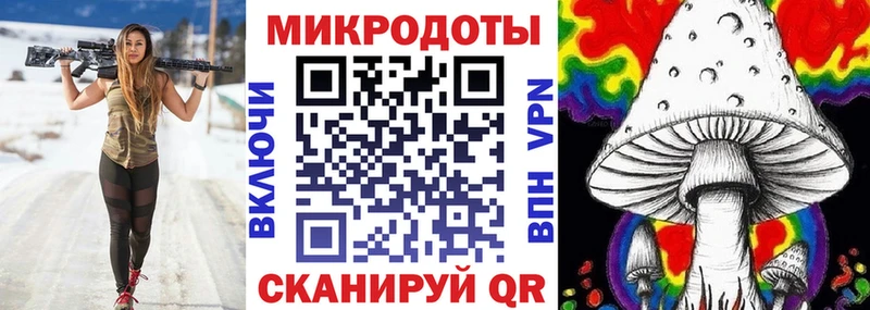 Купить где  Добрянка  Псилоцибиновые грибы Cubensis 
