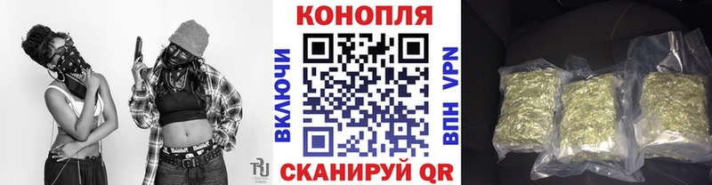 Купить где  Добрянка  Бошки марихуана OG Kush 